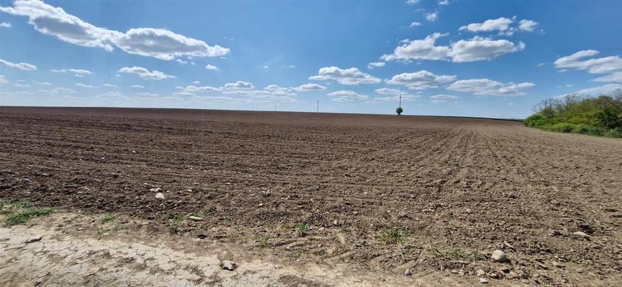 Teren intravilan de 13000 mp, în Periferie