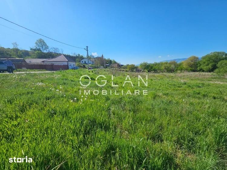 Teren de 2600 mp, în Mohu