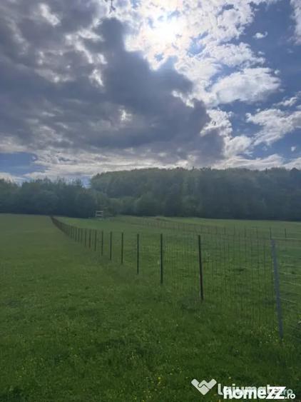 Teren de 2500 mp, în Marginea