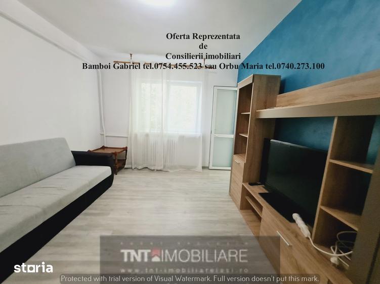 Apartament 2 Camere Decomandat Zona Pacurari (Moara de Foc) - 10