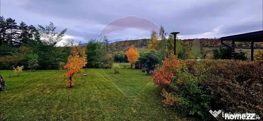 Teren 7160 mp/PUZ/cabana-ideal pentru proiect turistic/gl... - Tarlungeni (Brasov) - 6
