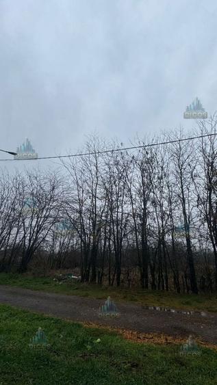 Teren Construcții intravilan de 2614 mp, în Periferie