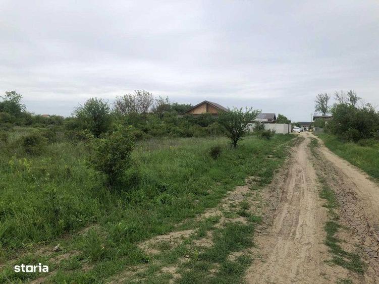 Vand teren in Teghes, Domnesti, Ilfov - 2