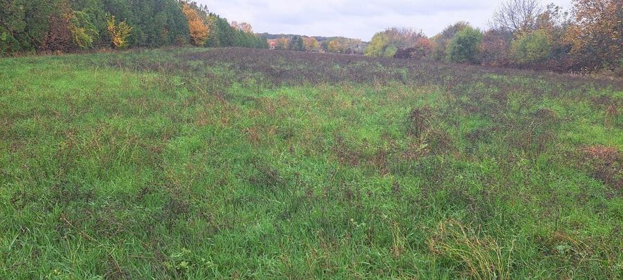 Teren Construcții intravilan de 20000 mp, în Siliștea Snagovului