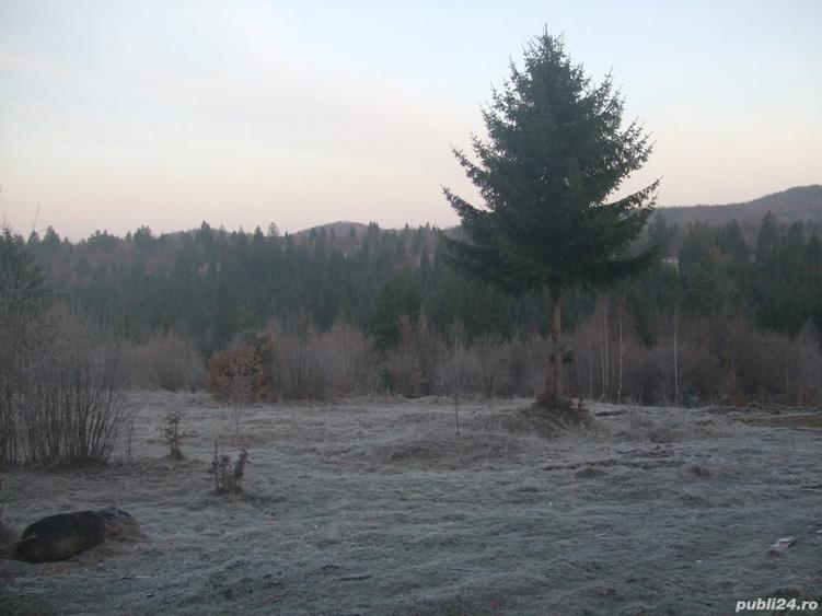 Teren de 34500 mp, în Băile Chirui