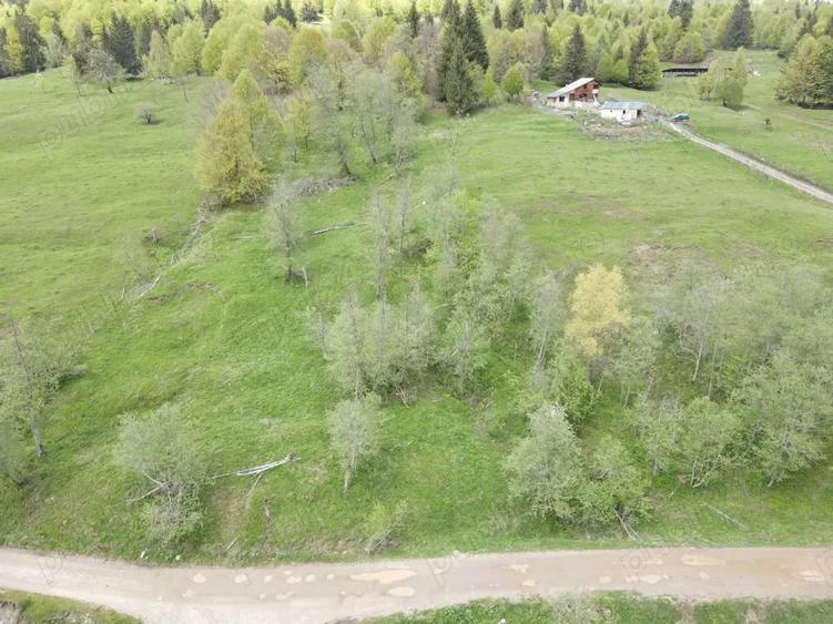 Teren de 7500 mp, în Cheia
