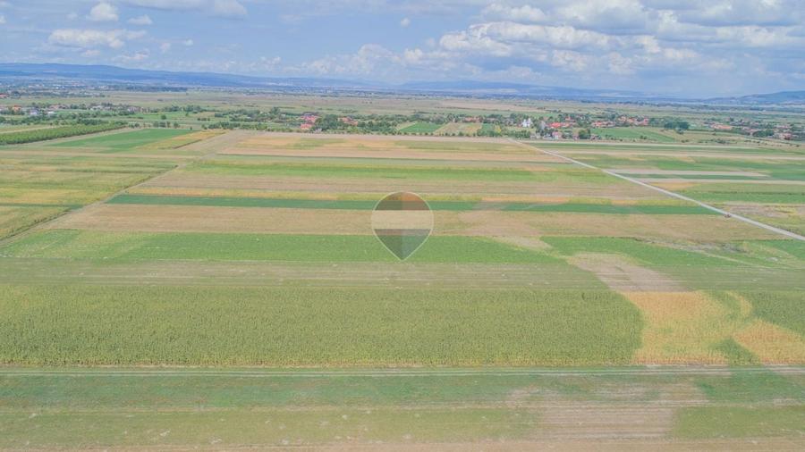 Teren agricol extravilan de 14750 mp, în Prejmer