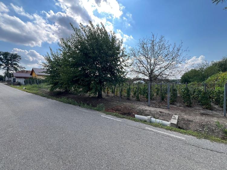 Teren Construcții intravilan de 1190 mp, în Bistrița Nouă