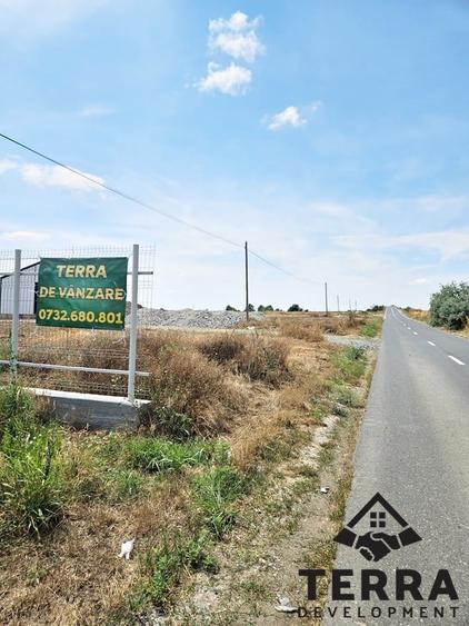Teren Construcții intravilan de 3000 mp, în Vest