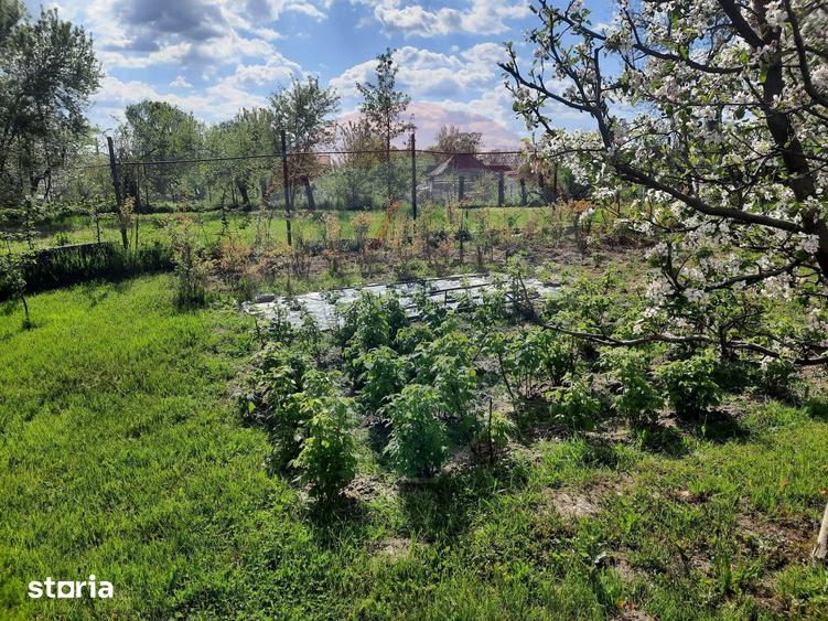Casă cu 2 camere cu Teren 1836 Mp în Beclean