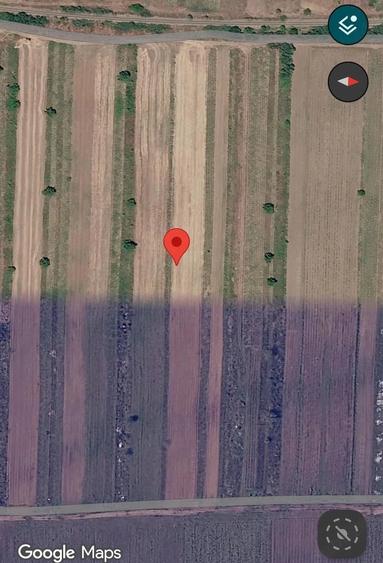 Teren de 21000 mp, în Munteni