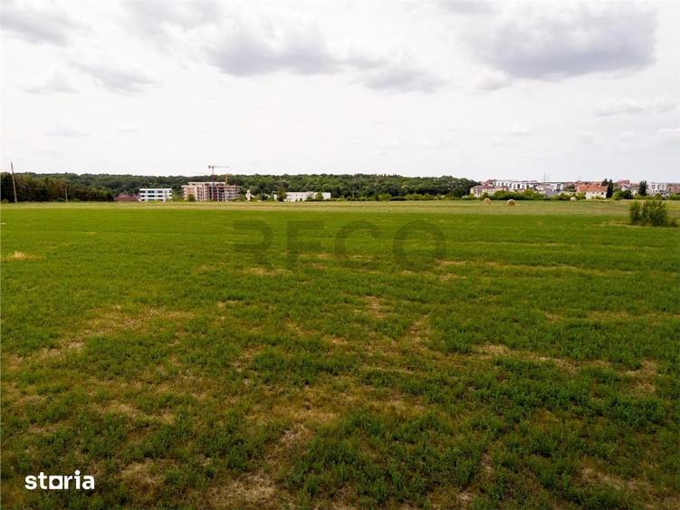 RECO Teren intravilan Haieu 4408mp - 13