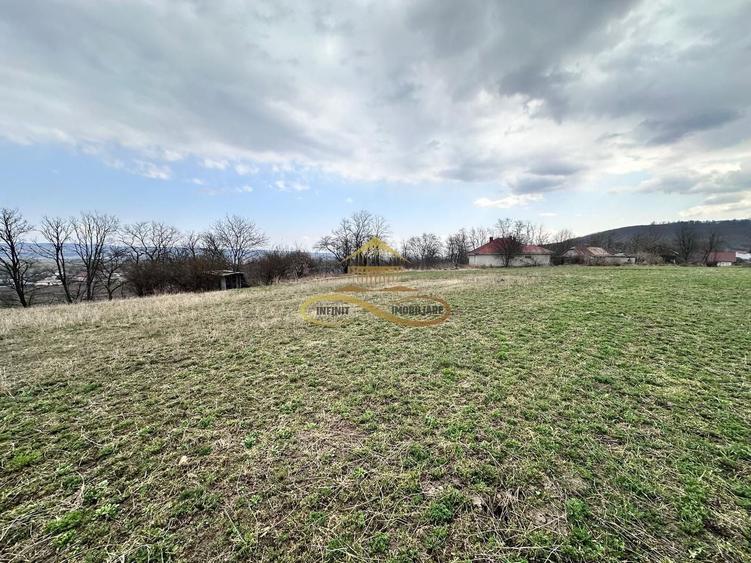Teren Construcții intravilan de 11021 mp, în Blăgești