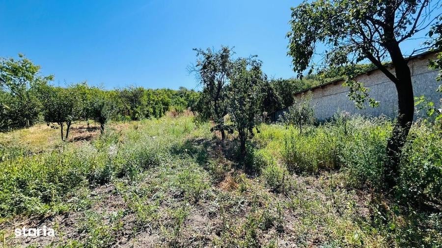 Casă cu 2 camere în Central