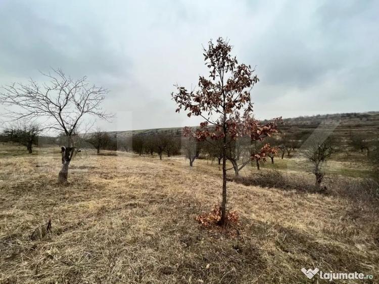 REDUCERE!!! Teren extravilan 5.613 mp, livada, zona Prede? - 6
