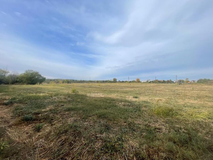 Teren Construcții intravilan de 6900 mp, în Exterior Sud