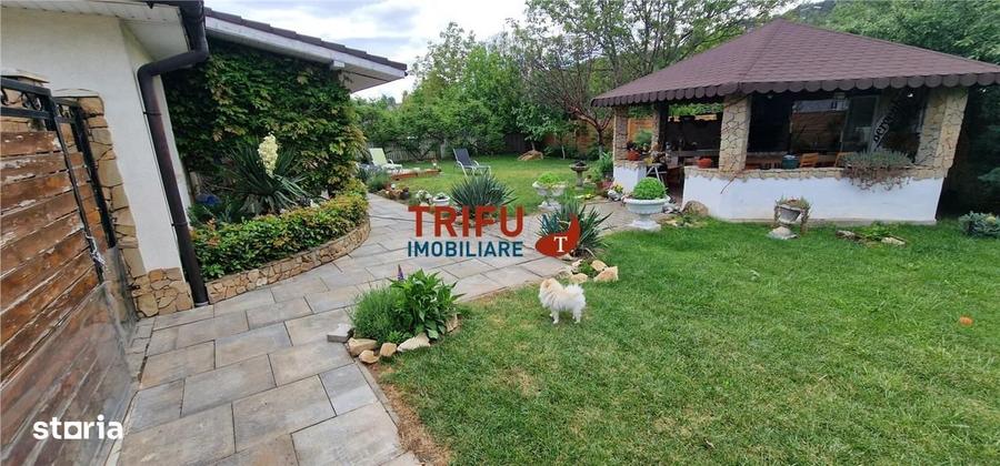 Casă cu 4 camere cu Teren 1153 Mp în Șard
