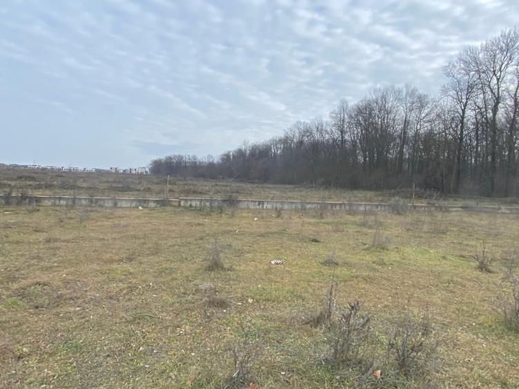 Teren agricol intravilan de 1900 mp, în Est