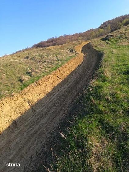 Teren de 10000 mp, în Câmpuri
