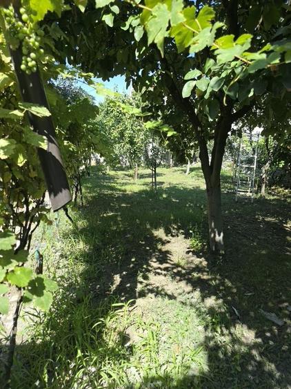 Casă cu 2 camere cu Teren 800 Mp în Central