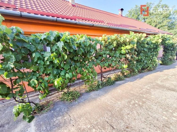 Casă individuală cu 5 camere cu Canalizare în Giarmata