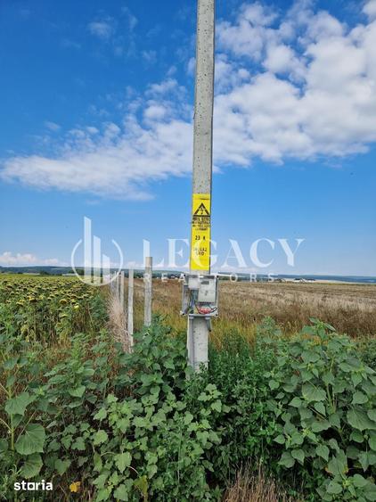 Teren de 30101 mp, în Săbăoani
