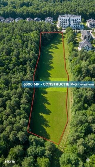 Teren 63 arii, langa padure Potential Blocuri P+3, zona Ferneziu - 1