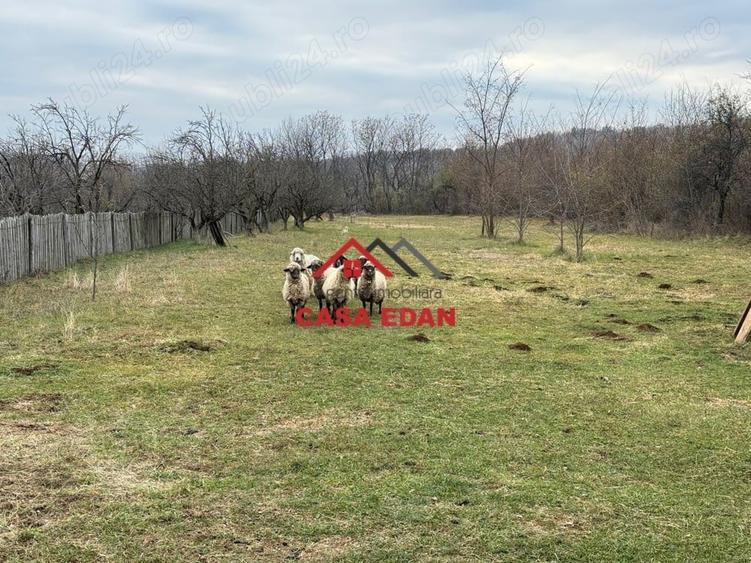 Casă cu Teren 2080 Mp în Brebu