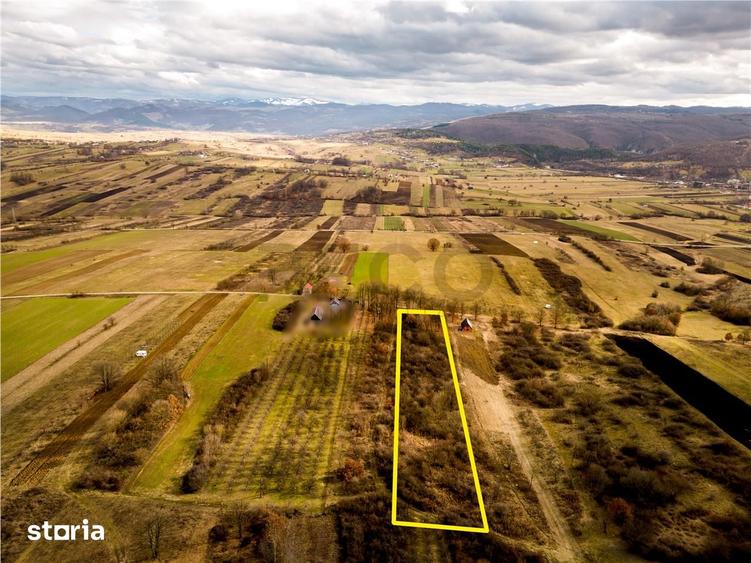Teren de 5361 mp, în Vadu Crișului