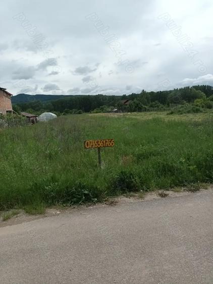 Teren de 3055 mp, în Bujoreni