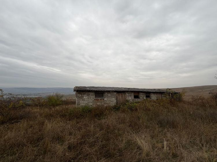 Teren agricol extravilan de 8000 mp, în Sântimbru