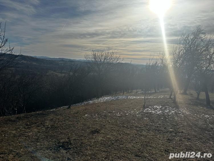 Teren de 8040 mp, în Mățău