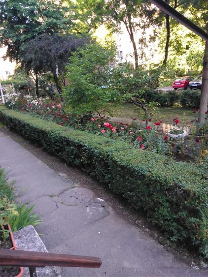 Garsonieră în Rogerius