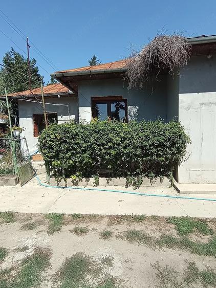Casă cu Teren 2100 Mp în Crivina