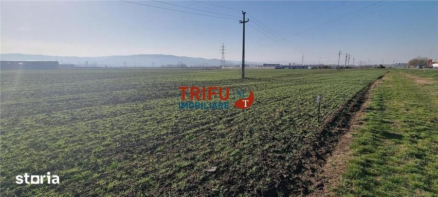 Teren de 11600 mp, în Sântimbru