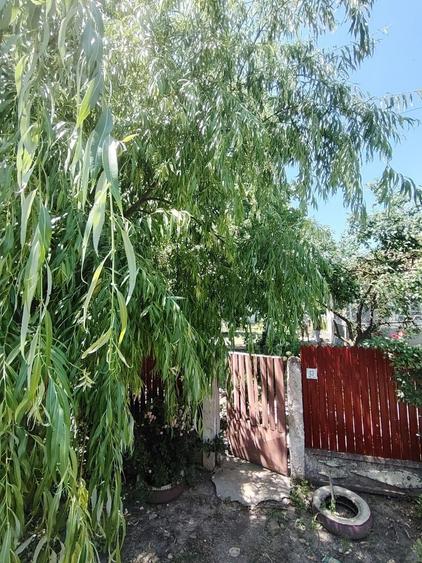 Casă cu 4 camere în Cotorca