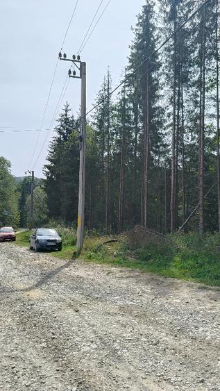 Teren Construcții intravilan de 4401 mp, în Trăisteni