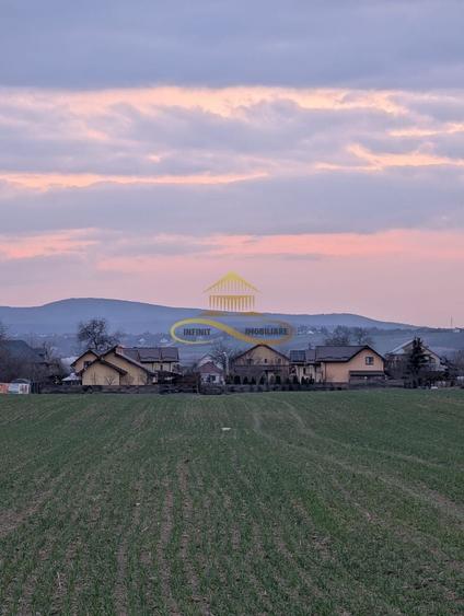 Teren agricol intravilan de 7774 mp, în Lilieci