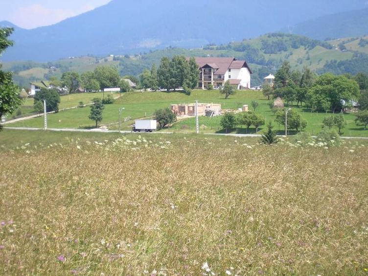 Teren intravilan de 3700 mp, în Moieciu de Jos