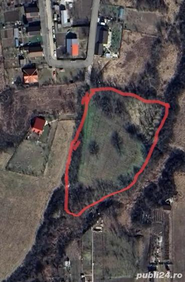 Teren de 5000 mp, în Uricani