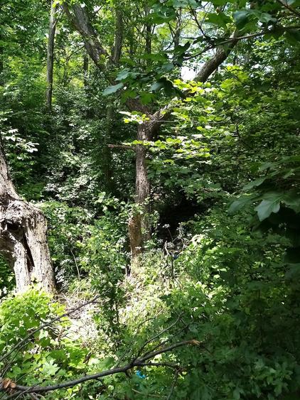 Teren de 3999 mp, în Șerbănești (Sălătrucel)