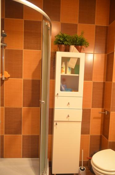 Apartament cu 3 camere decomandat, mobilat în Bușteni