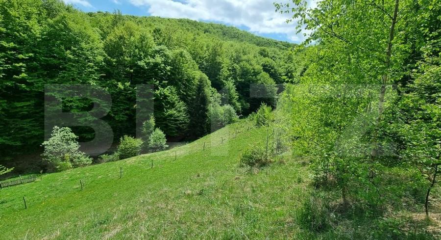 Teren agricol extravilan de 5400 mp, în Iara