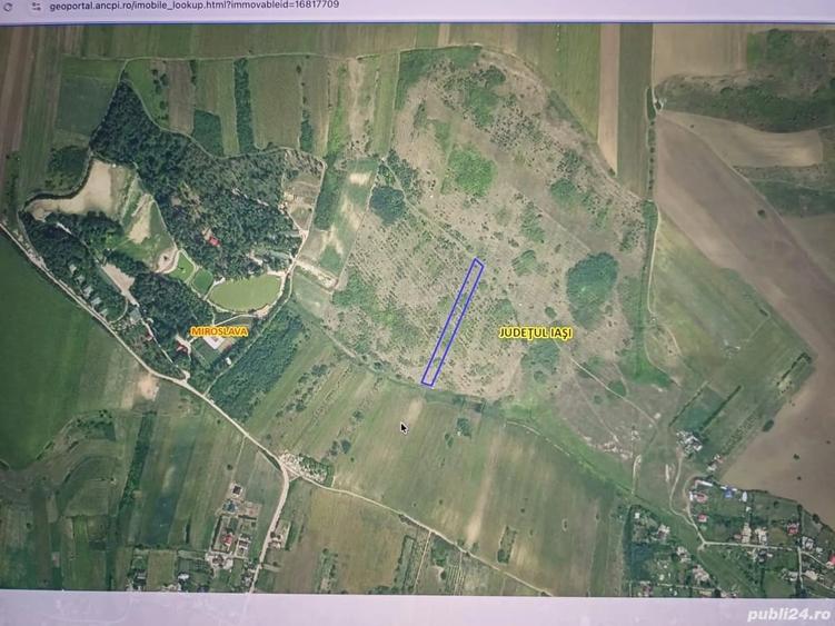Teren de 5000 mp, în Proselnici