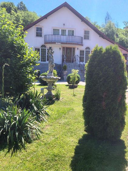 Vand Vila Toplita,Malureni - 7