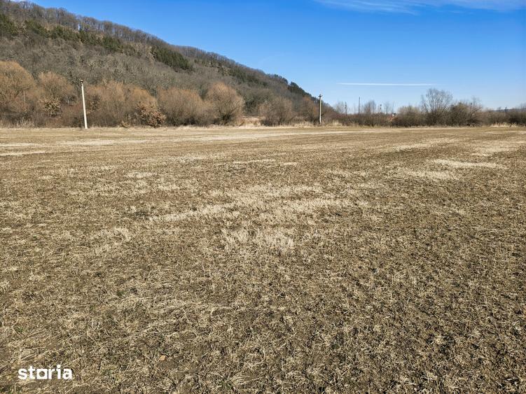 Teren de 2800 mp, în Turnu Roșu