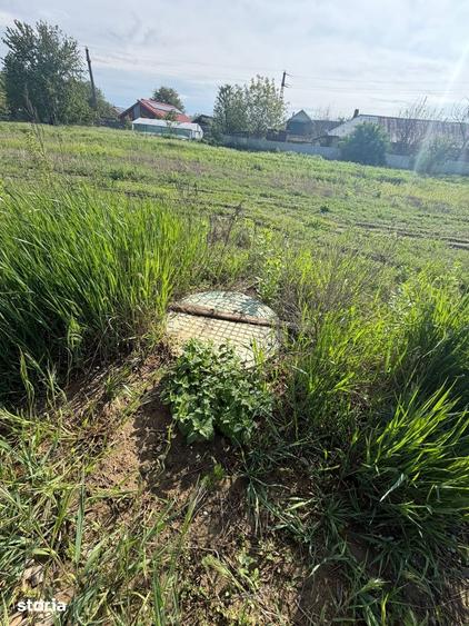 Teren de 3100 mp, în Hemeiuș