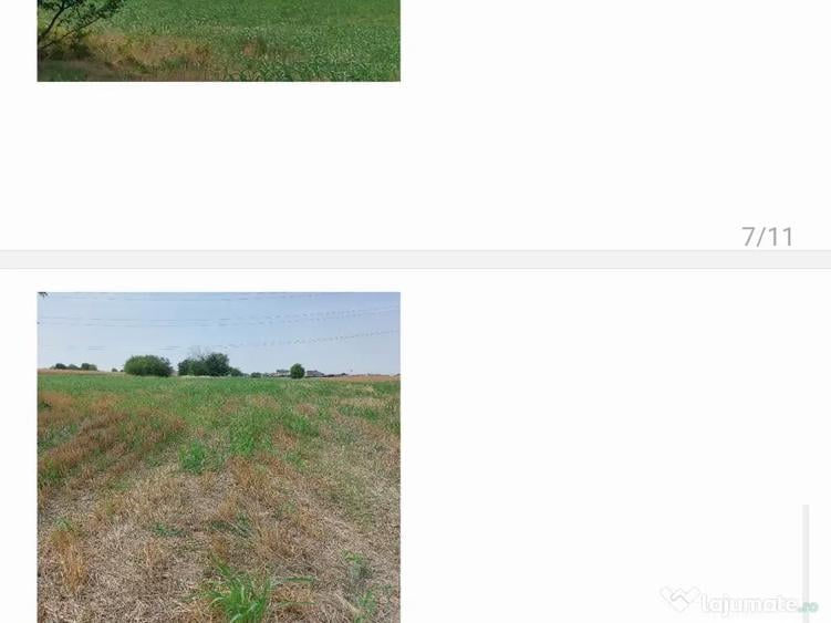 De vanzare sau inchiriere teren 4000 mp - 10