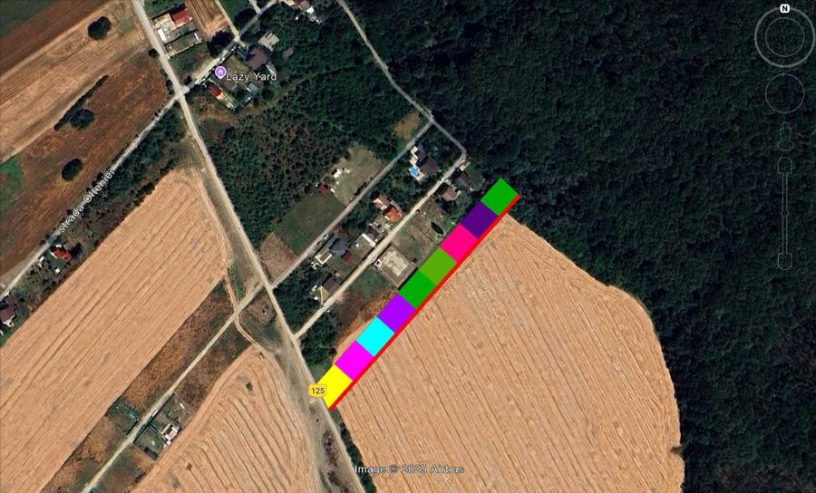 Loturi de vanzare 625 mp Domnesti, sat Teghes, langa Padure - 1