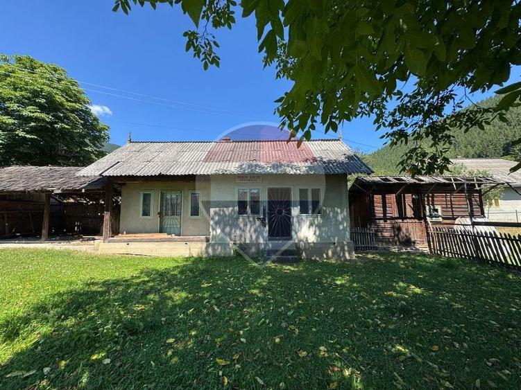 De vanzare | Teren 5412mp , Scoala Sabasa | Borca | Neamt - 2